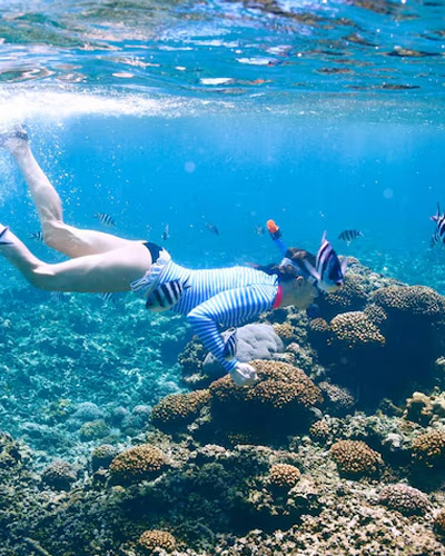 Snorkeling